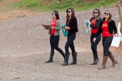 Hounds do Brasil