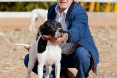 Hounds do Brasil