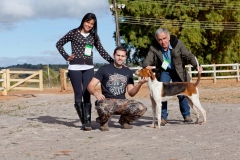 Hounds do Brasil