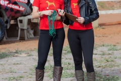 Hounds do Brasil