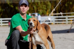 Hounds do Brasil
