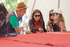 Hounds do Brasil