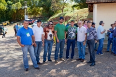 Hounds do Brasil