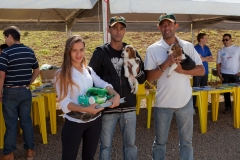 Hounds do Brasil