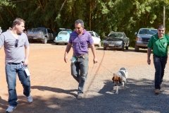 Hounds do Brasil