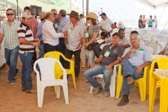 Hounds do Brasil