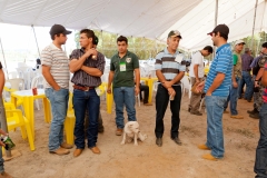 Hounds do Brasil