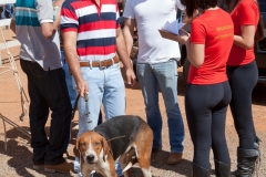 Hounds do Brasil