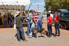 Hounds do Brasil