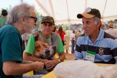 Hounds do Brasil