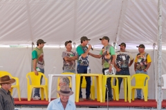 Hounds do Brasil