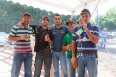 Hounds do Brasil
