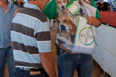 Hounds do Brasil