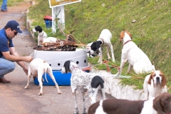 HOUNDS-DO-BRASIL-115-Copia-2
