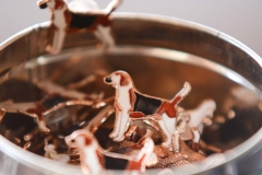 HOUNDS-DO-BRASIL-12