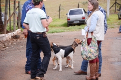 HOUNDS-DO-BRASIL-129
