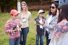 HOUNDS-DO-BRASIL-136-Copia-2