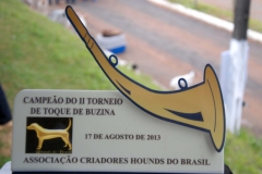 HOUNDS-DO-BRASIL-152