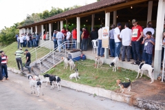 HOUNDS-DO-BRASIL-195-Copia