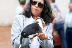 HOUNDS-DO-BRASIL-215-Copia