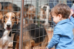 HOUNDS-DO-BRASIL-222
