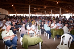 HOUNDS-DO-BRASIL-300