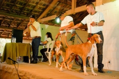 HOUNDS-DO-BRASIL-410
