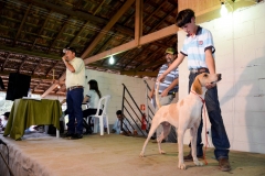 HOUNDS-DO-BRASIL-425