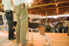 HOUNDS-DO-BRASIL-433