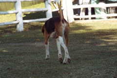 DSCF0044
