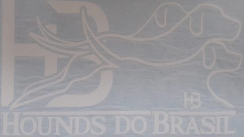 Adesivo Plotado - Imagem 2