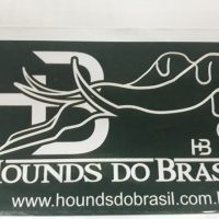 Adesivo Digital HB