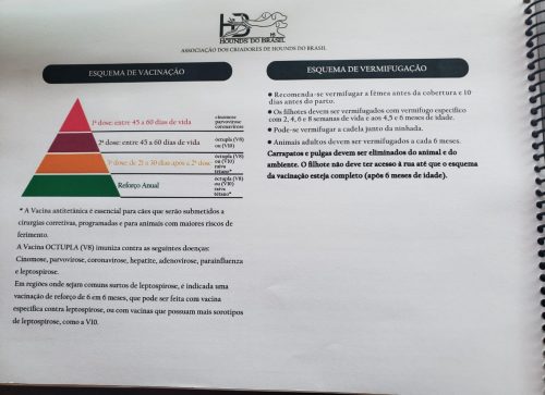 Caderno de Controle Sanitário - Imagem 2
