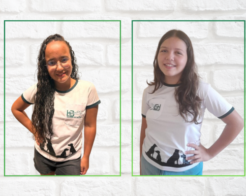 Camisetas Infanto-Juvenil HB